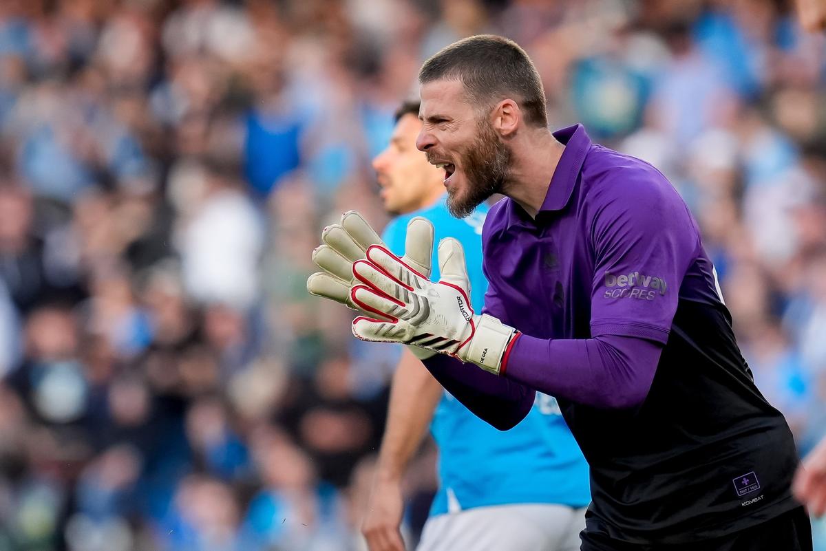 挪威中场贝格：厄德高是独一无二的存在，他配得上队长荣誉